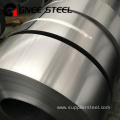 Rolled Non-oriented Electrical Steel